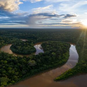 Regenwald Peru © Copyright Wilderness International